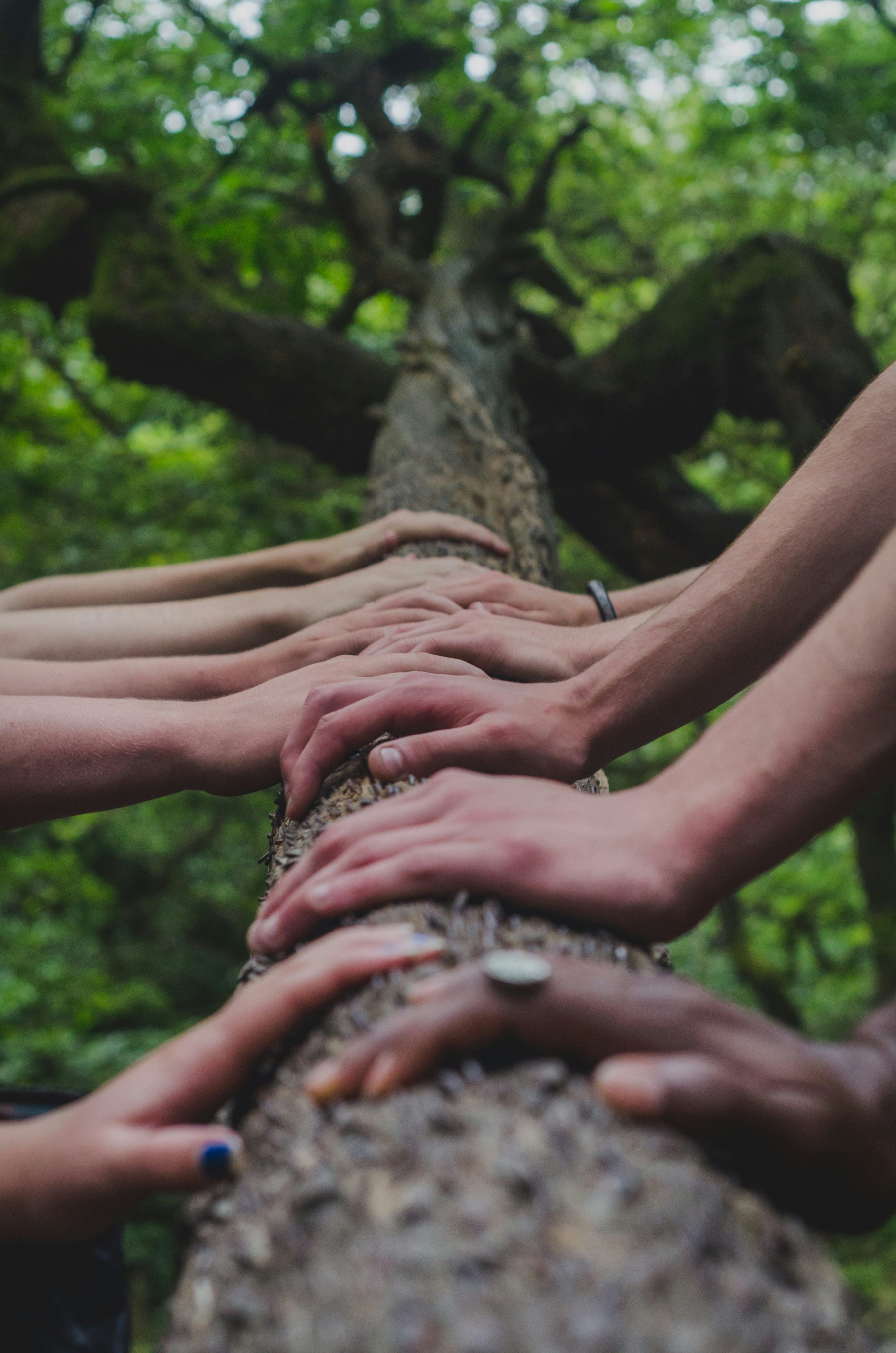 Resilienz-Workshops für soziale Einrichtungen in Fulda: Psychische Gesundheit im Team stärken